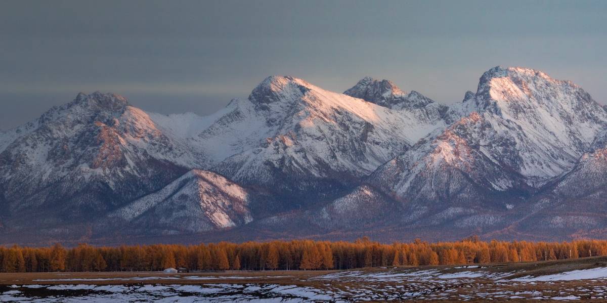 , Трофимов Алексей