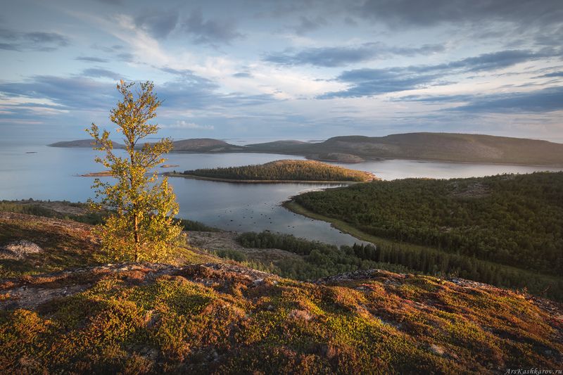 острова, кузова, карелия, белое море, архипелаг, соловки, сопки, сельги, шхеры, кемь Кончается северное летоphoto preview