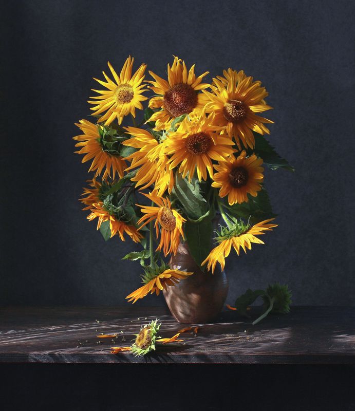 +3 фото превью