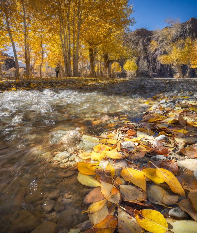 алтай, осень, ручей, листья, солнце Краски Алтайской осени. фото превью