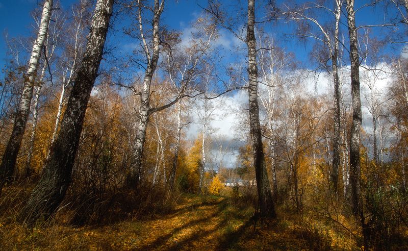 Осеньphoto preview