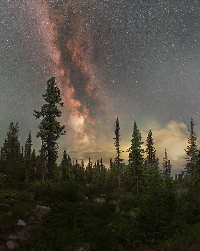 астрофото, астрофотография, ночь, астрономия, астропейзаж, млечный путь, звезды, ночное небо, night, nightphotography, stars, milkyway, longexposure Суровые таежные хвойные...photo preview