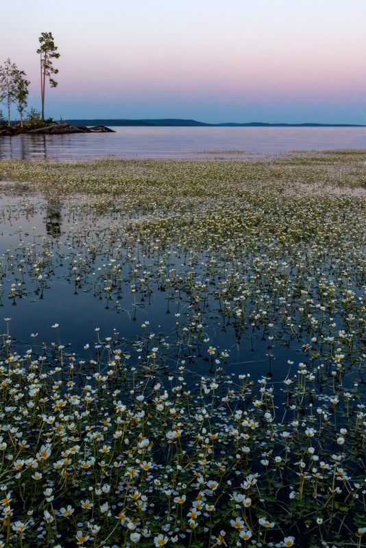 Белая ночьphoto preview