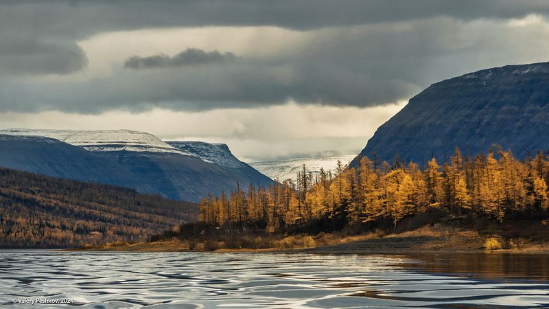 озеро дюпкун, плато путорана, непогода, ветер, шторм, осень, золотая осень, лиственницы, владимир коваль Суровый Дюпкунphoto preview