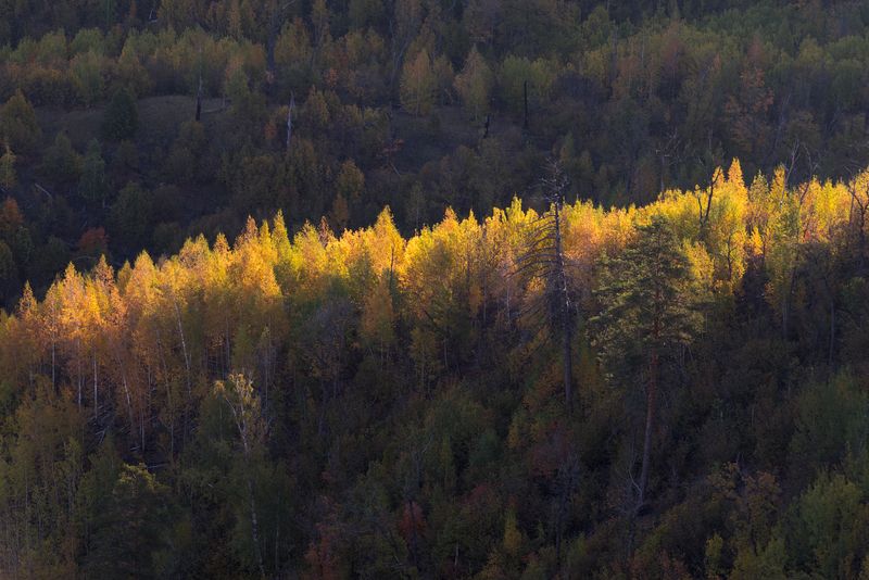 Осень средней полосыphoto preview