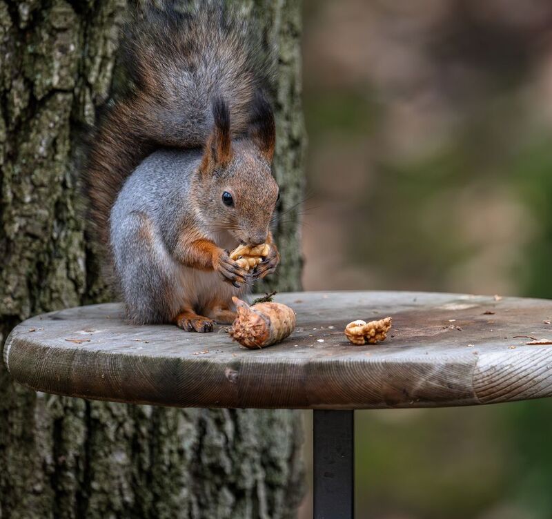 Завтрак в кафе \