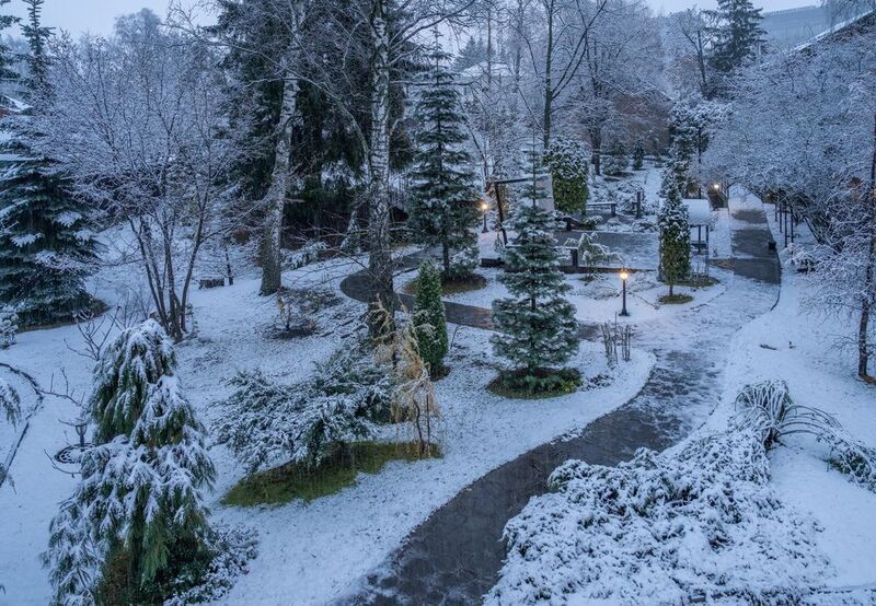 Вот и первый снежок...photo preview