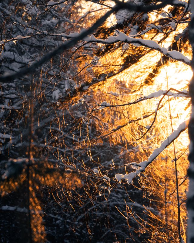 Зима photo preview