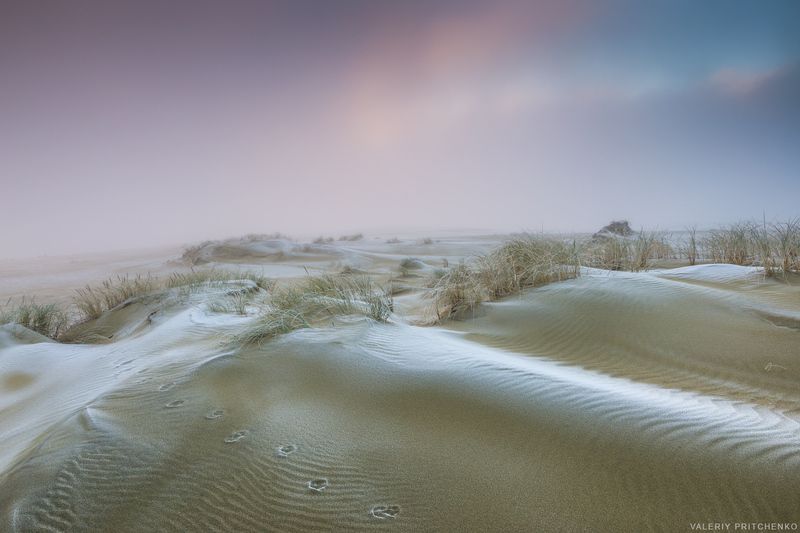 Морозное утро на Куршской косеphoto preview