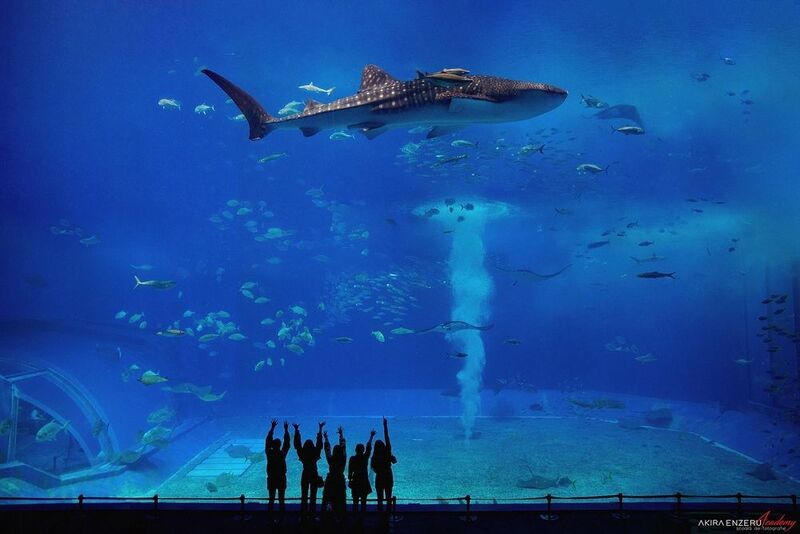 Okinawaphoto preview