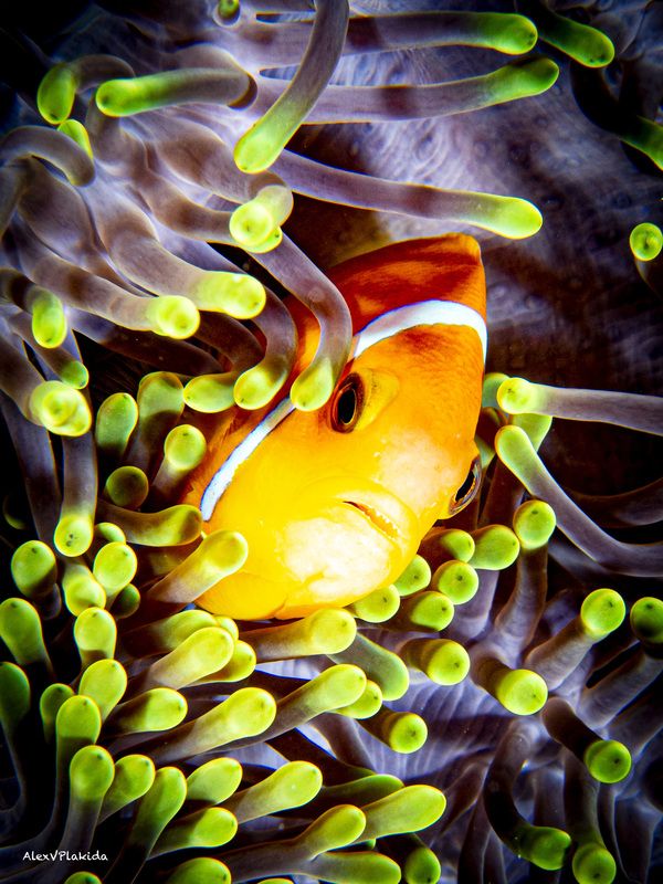 Сонный ноябрьский вид.photo preview