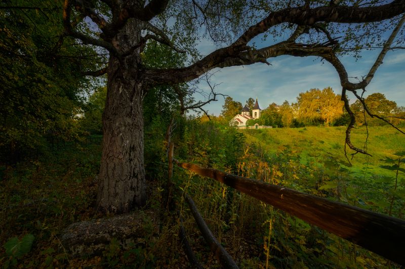 вечер, осень, храм, бёхово, церковь, поленово, россия, православие, тульская область, забор, дерево photo preview