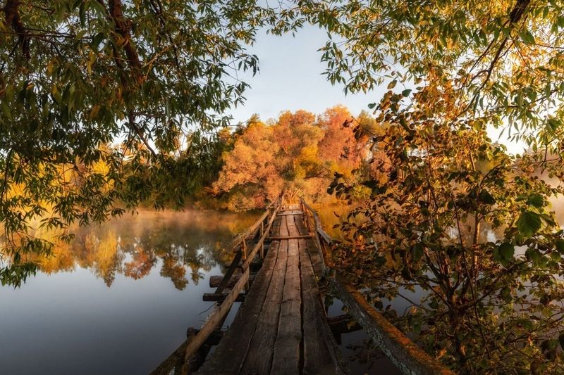 Осеннее Окуневоphoto preview