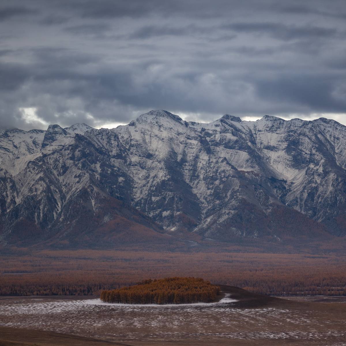 , Трофимов Алексей