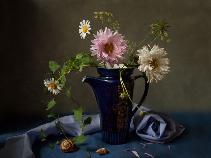 август, астры Август – астрыphoto preview