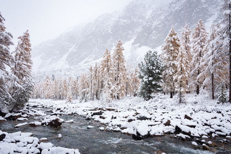 Алтай, осень, Актру, река, метель, снег Метельphoto preview