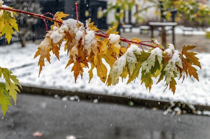 Первый снегphoto preview