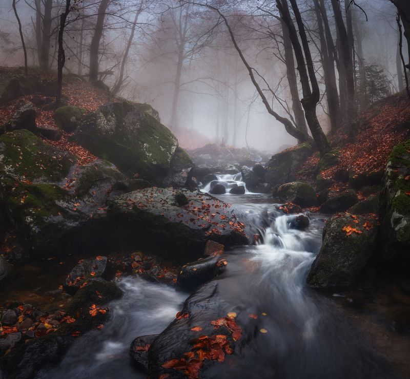 landscape nature scenery forest wood autumn mist misty fog foggy river longexposure mountain rocks vitosha bulgaria With the setting autumnphoto preview