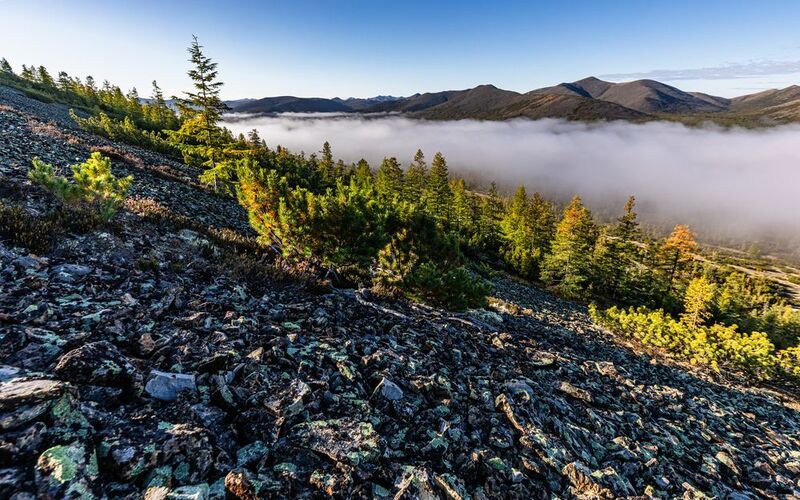 Осень, сопки, озеро Гранд, Колыма, утро, туман, курумник, камни Прогулка по сопкам у озера Гранд. Колыма.photo preview