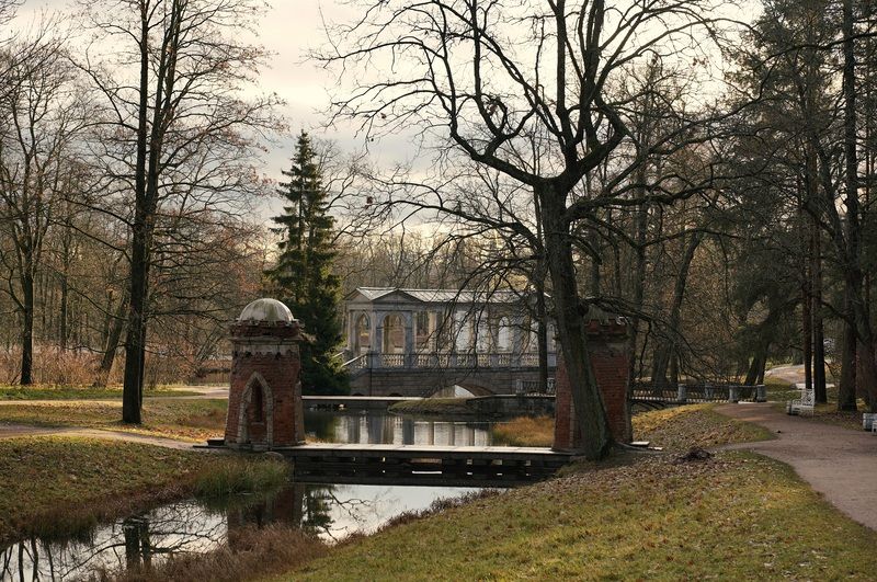 Novemberphoto preview