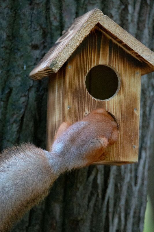 Эй, кто-нибудь дома? фото превью
