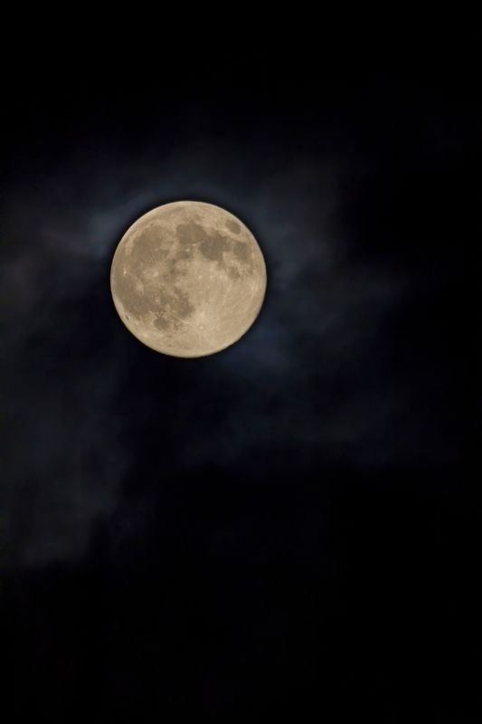 луна, Суперлуние, Бобровая луна, ночь Бобровая или Охотничья луна 05.11.25photo preview