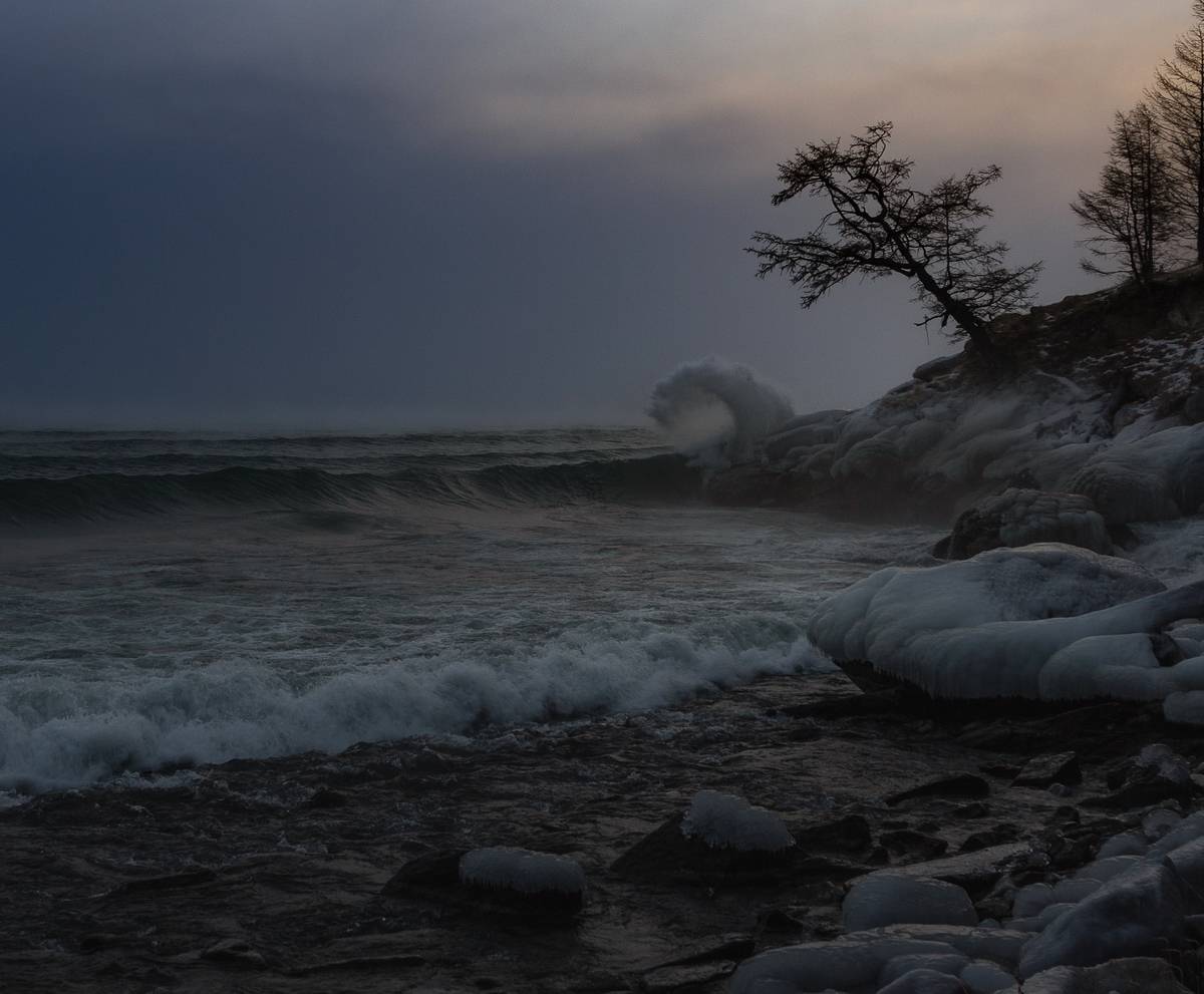 , Трофимов Алексей