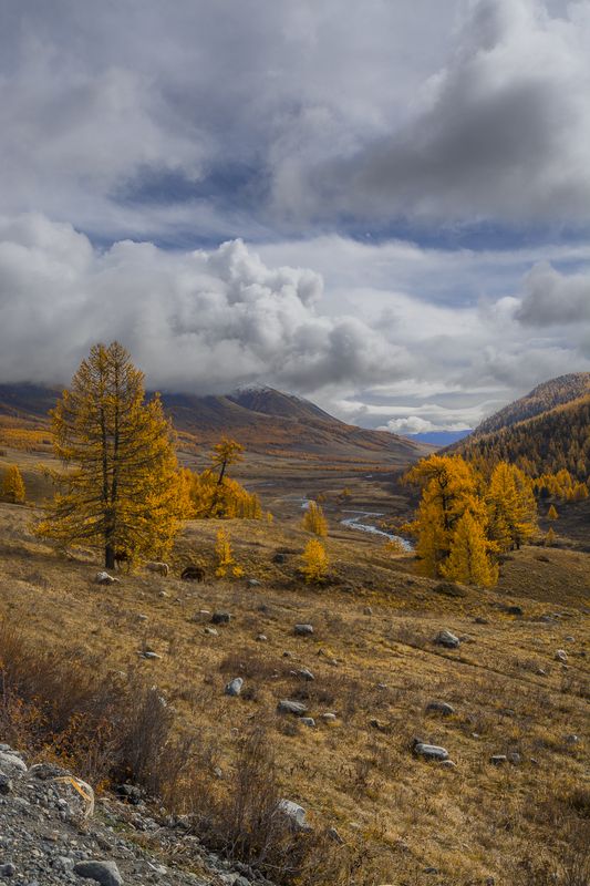 россия, горный алтай,осень,утро Осенняя пораphoto preview