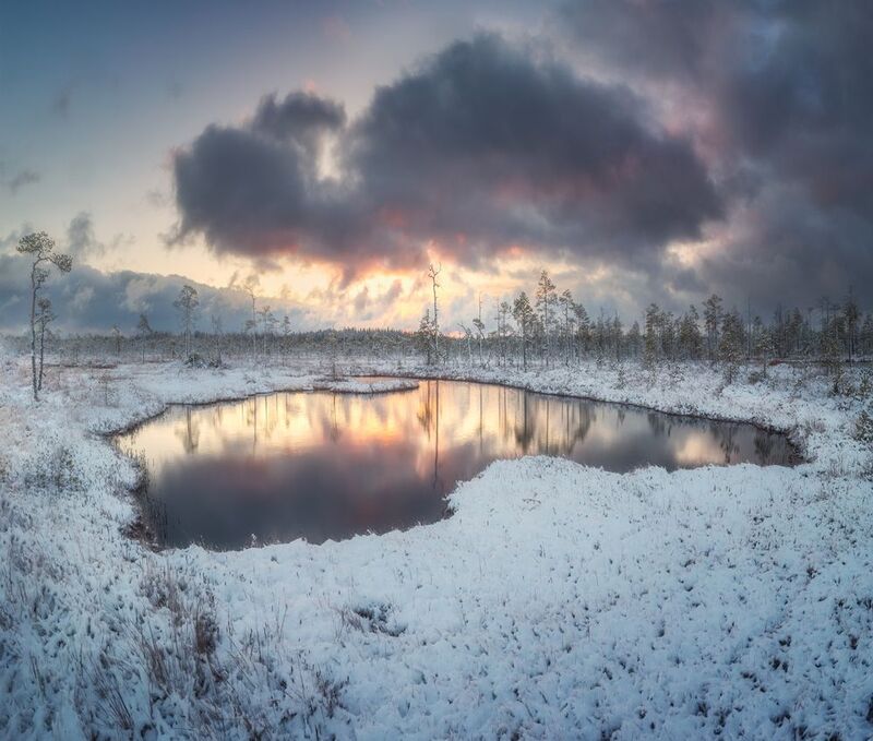 болото, ленобласть, рассвет Первый снег на болотеphoto preview
