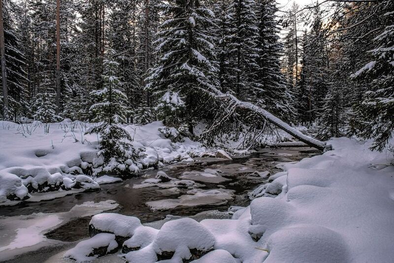 Первый снегphoto preview