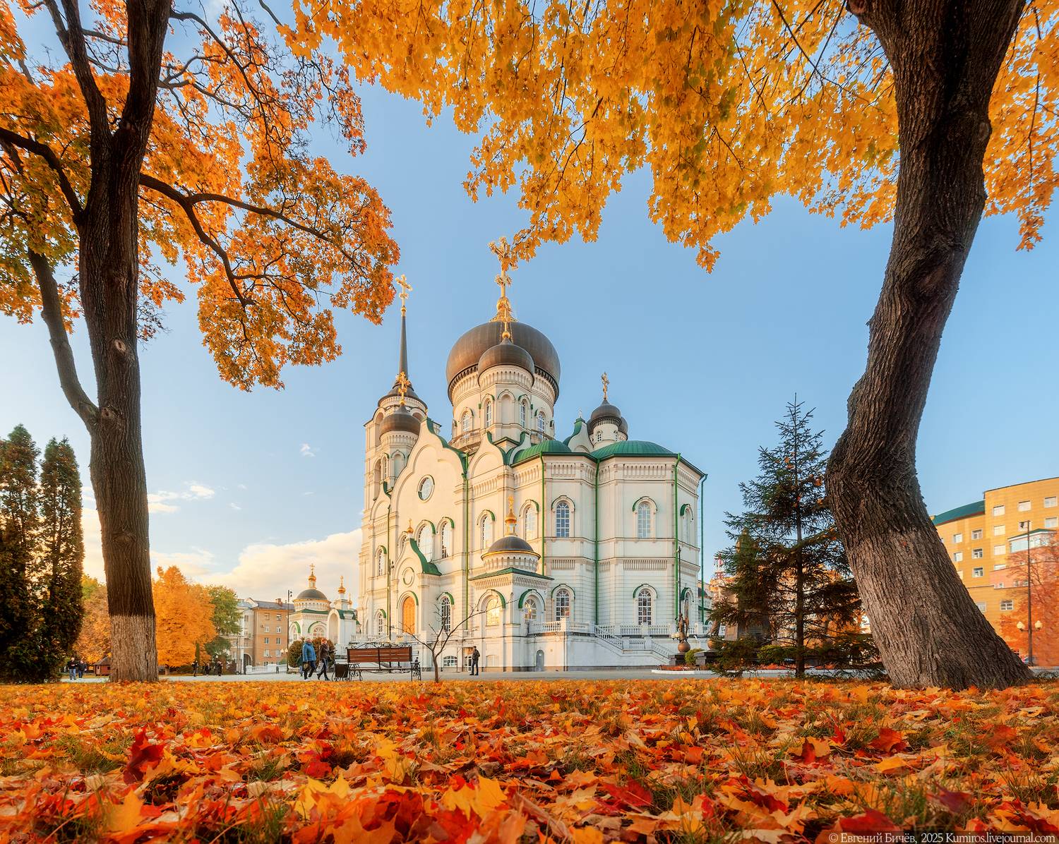 Благовещенский кафедральный собор в Воронеже. Автор: Евгений Бичёв Воронеж, Евгений Бичёв