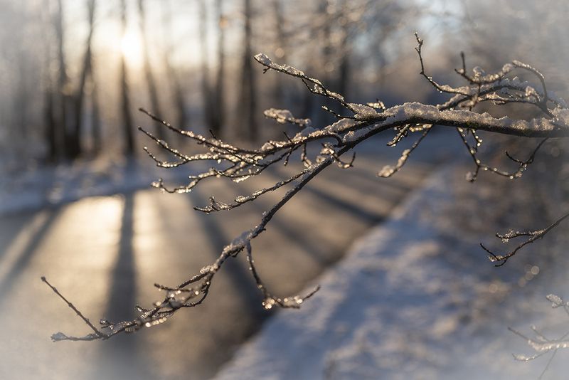 Первый снегphoto preview