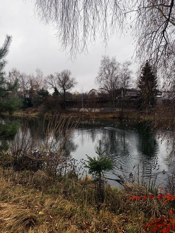 ноябрьphoto preview