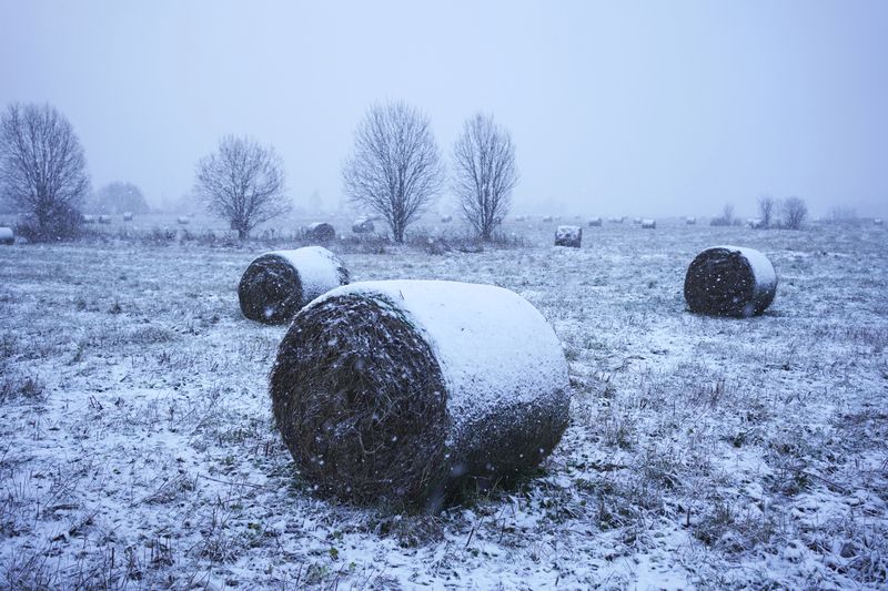 Заметаетphoto preview