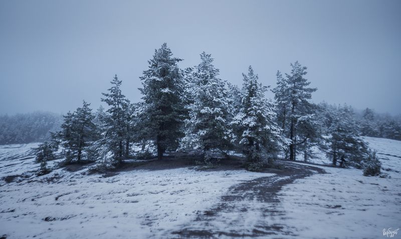 Первый снег на Суворовских карьерах.photo preview