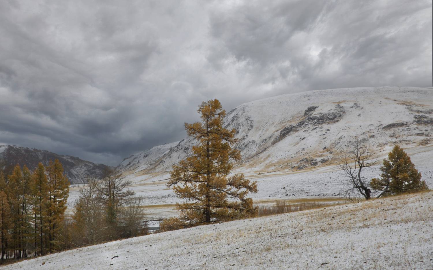 , Евгений Зинов