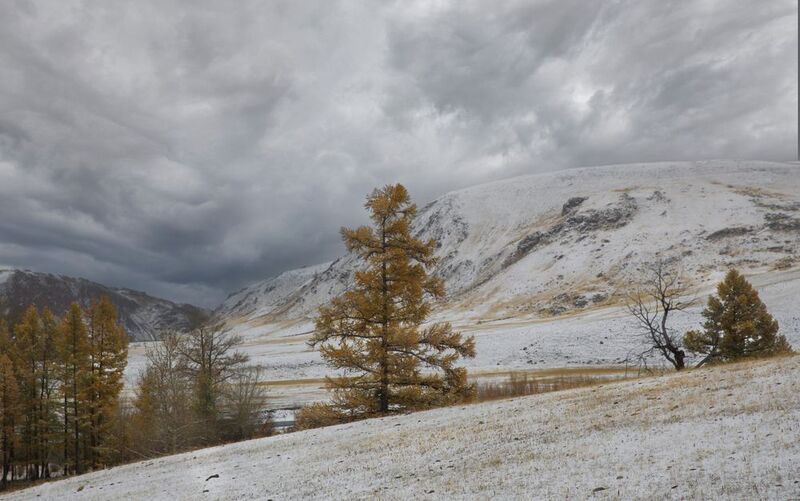 Чаган-Узунphoto preview