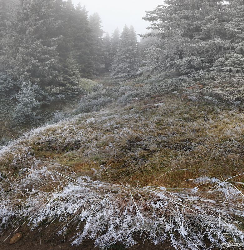 swiss Предзимьеphoto preview