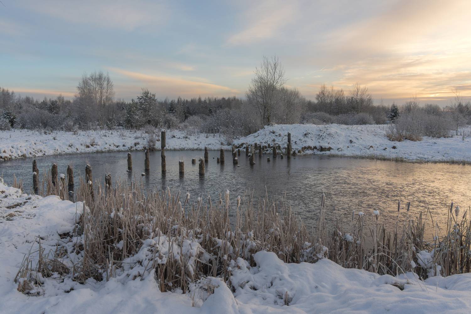 , Добродий Михаил