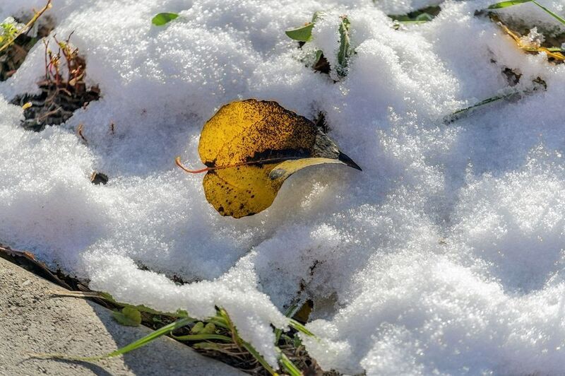 Ноябрьphoto preview