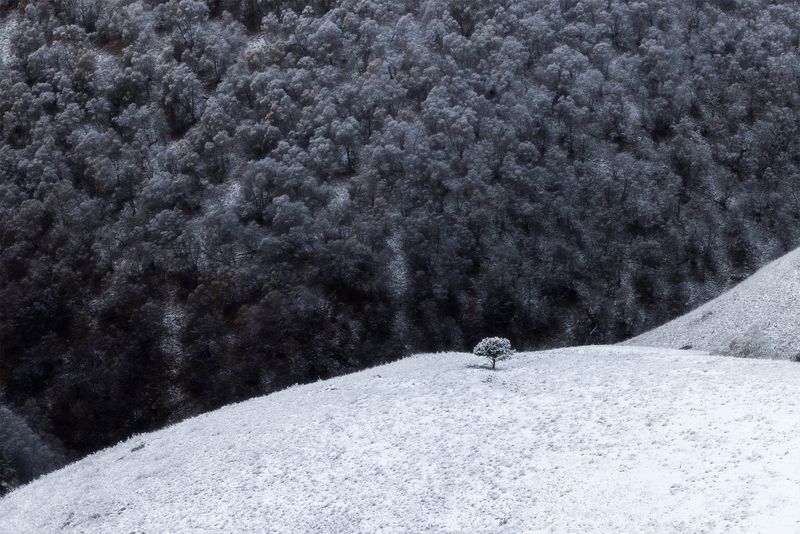 кавказ, кабардино-балкария, эльбрус, джилы-су, главный кавказский хребет По дороге на Джилы-Су, Приэльбрусьеphoto preview