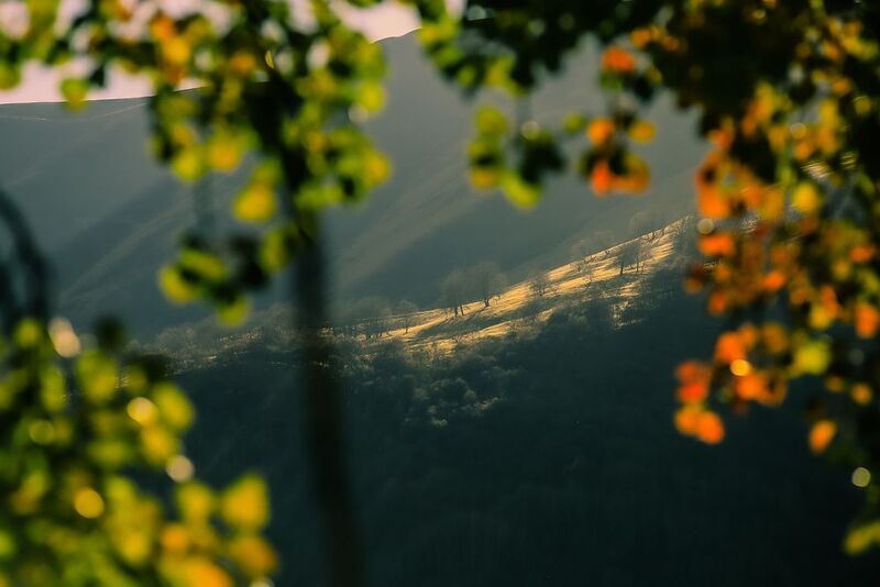 Kazbegi 2019photo preview