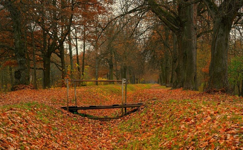 Footbridgephoto preview