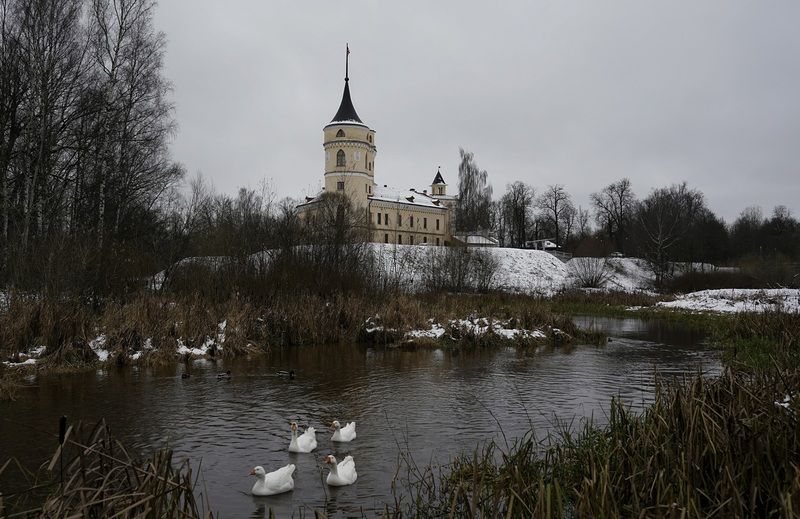 November and the Four Geesephoto preview