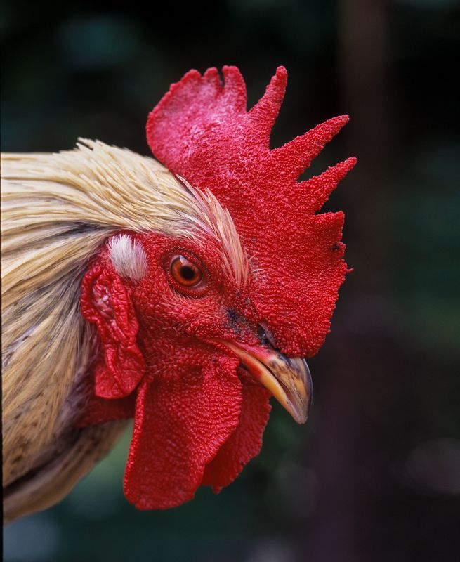 Этюд фото превью