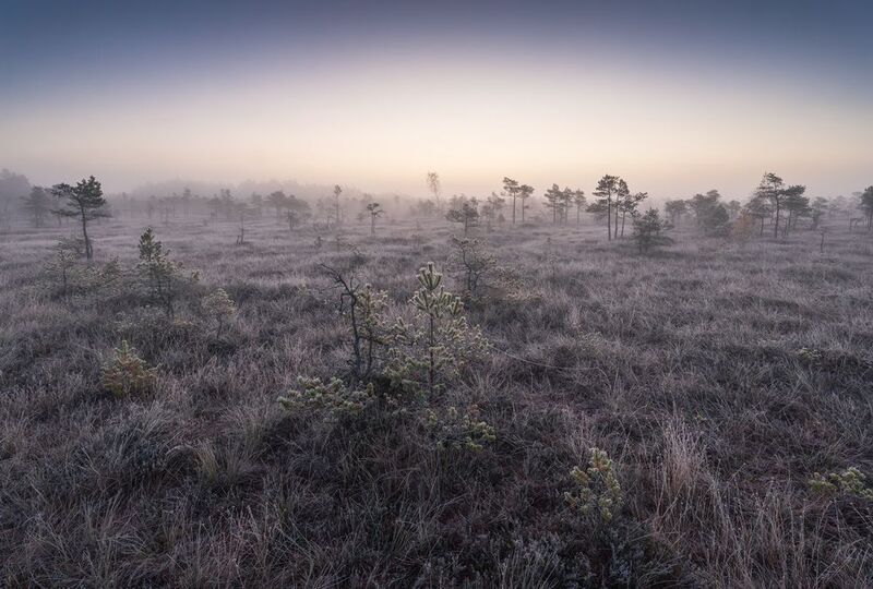 Холодным утром перед рассветомphoto preview