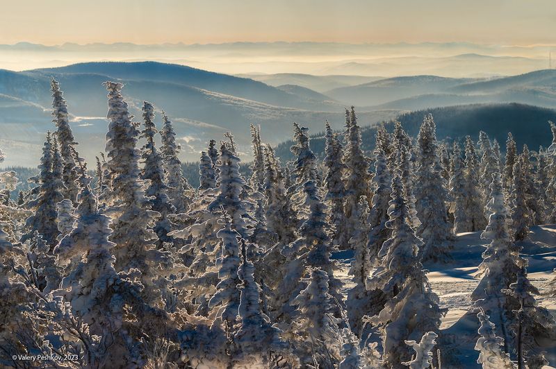 снег, иней, мороз, зима, пихты, кедры, гора зелёная, шерегеш, горная шория, сибирь Шерегешские далиphoto preview