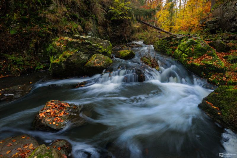 Canyon Stream фото превью