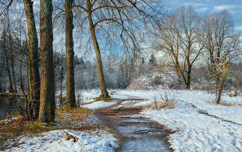 снег, природа, осень, зима Первый снегphoto preview