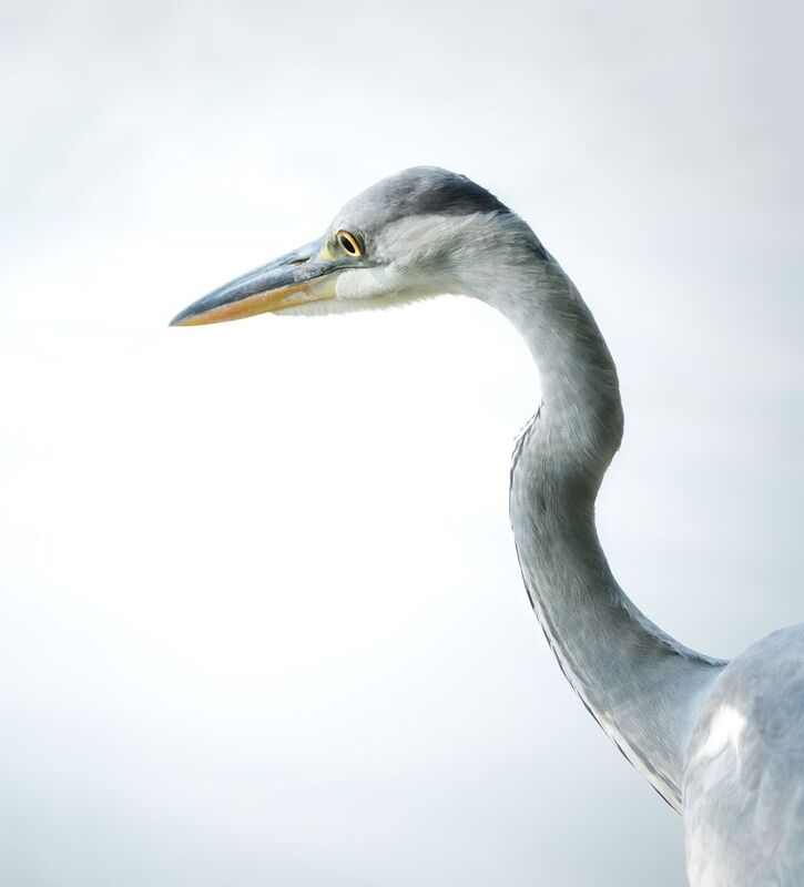 Мое портфолиоphoto preview